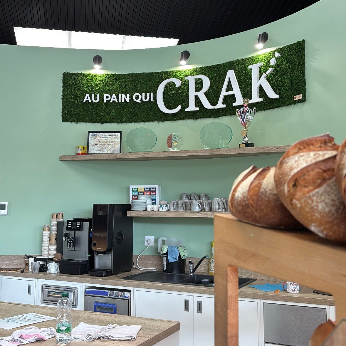 Projet logo végétal au pain qui crak' crach