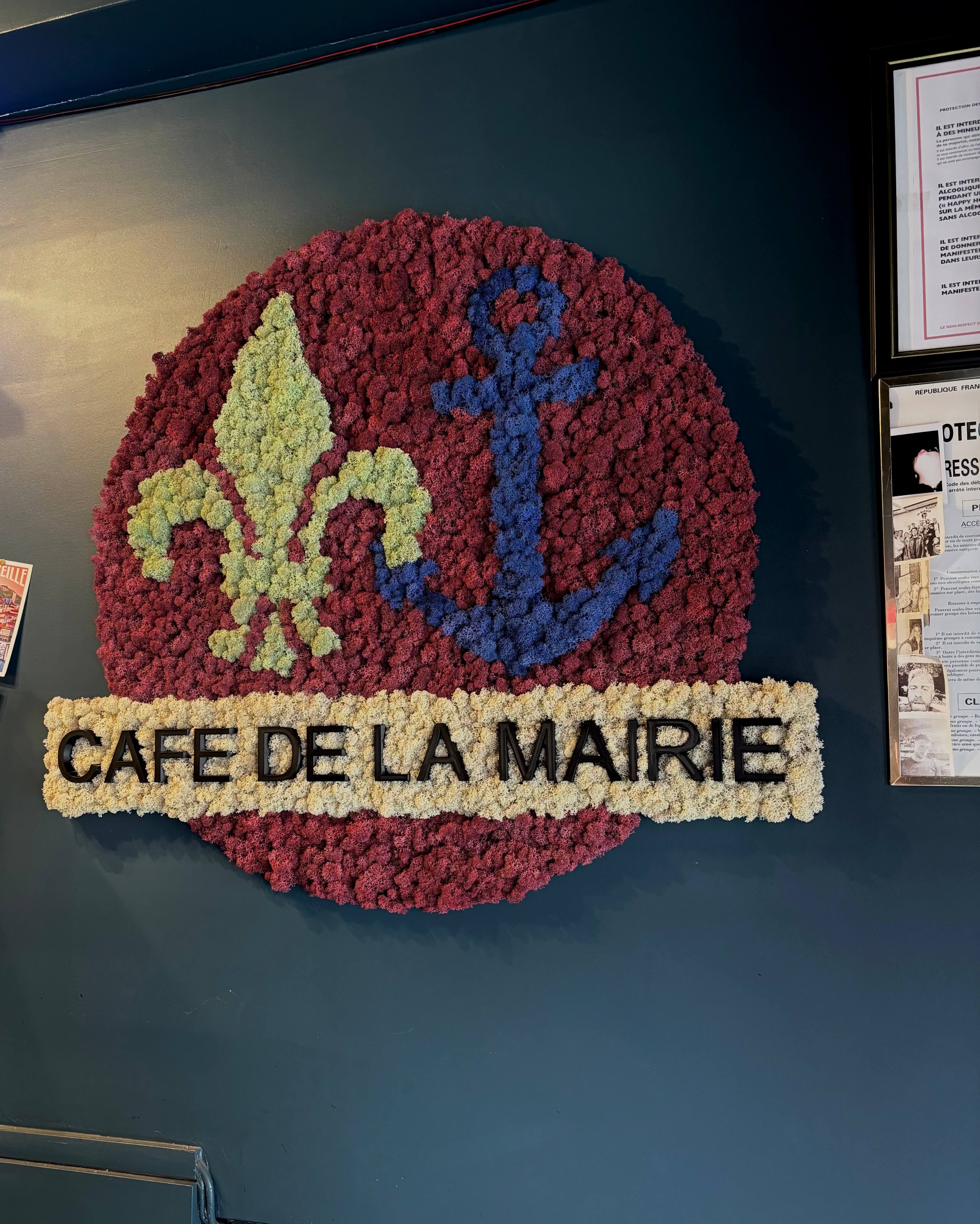 Projet logo vegetal cafe de la mairie le croisic