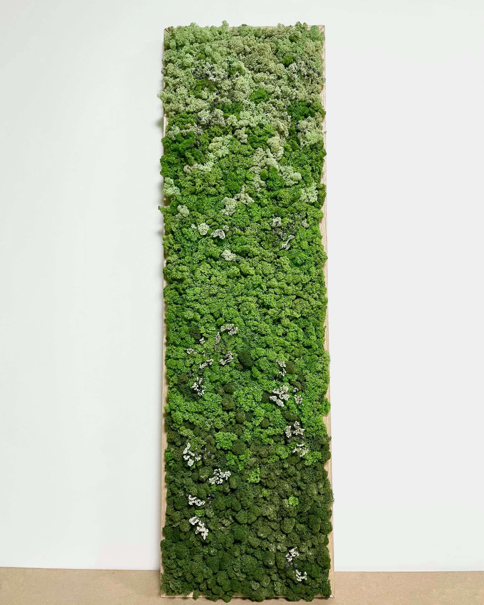 Tableau végétal - Vente particulière Lichen & CO Tableau végétal