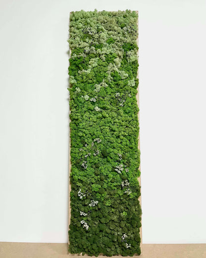 Tableau végétal - Vente particulière Lichen & CO Tableau végétal