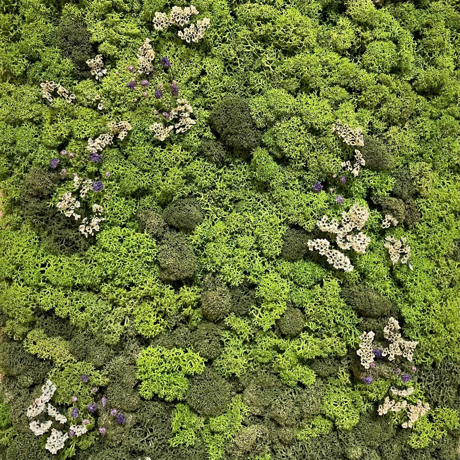 Tableau végétal unique nuances verts, vente particulière