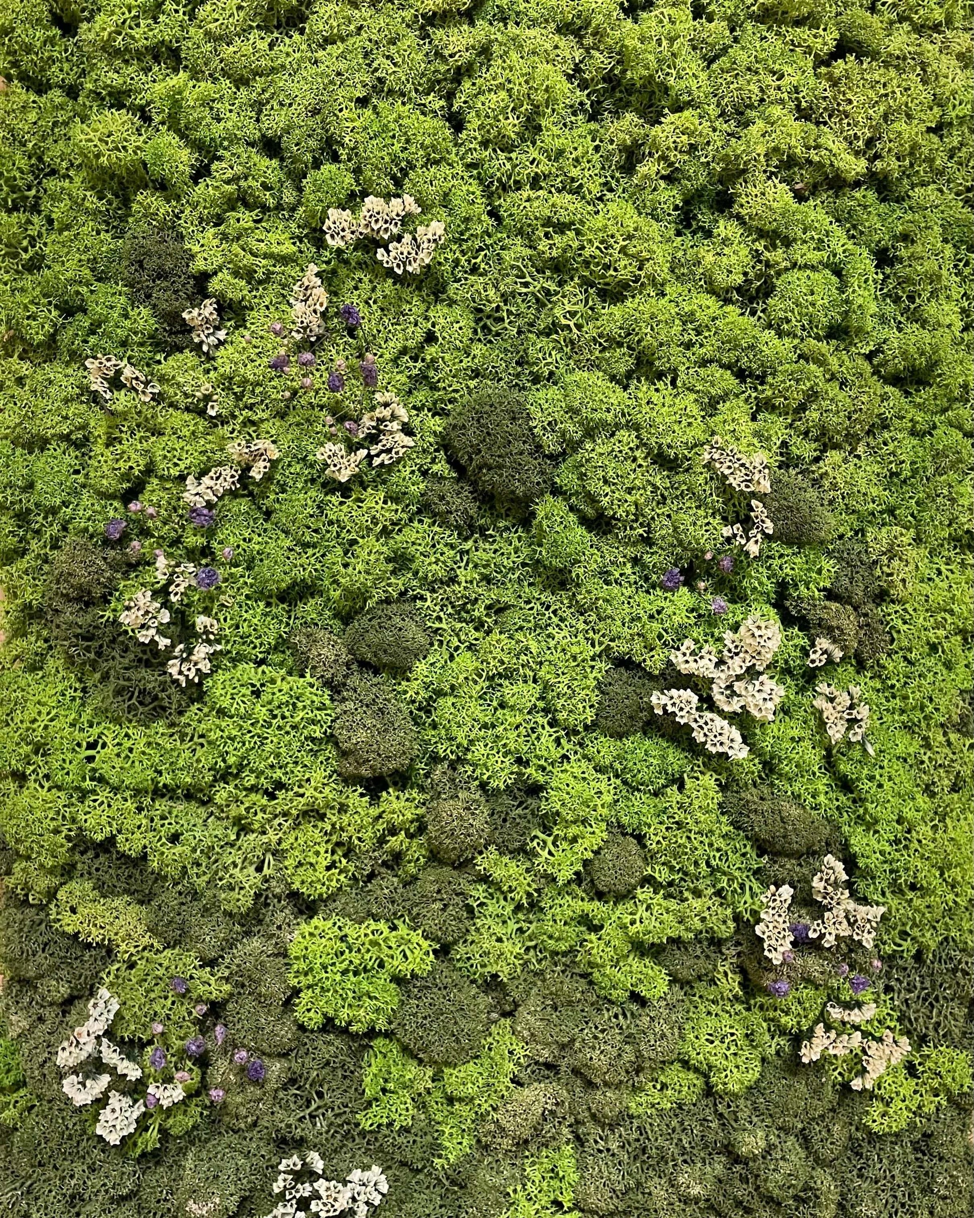 Tableau végétal - Vente particulière Lichen & CO Tableau végétal