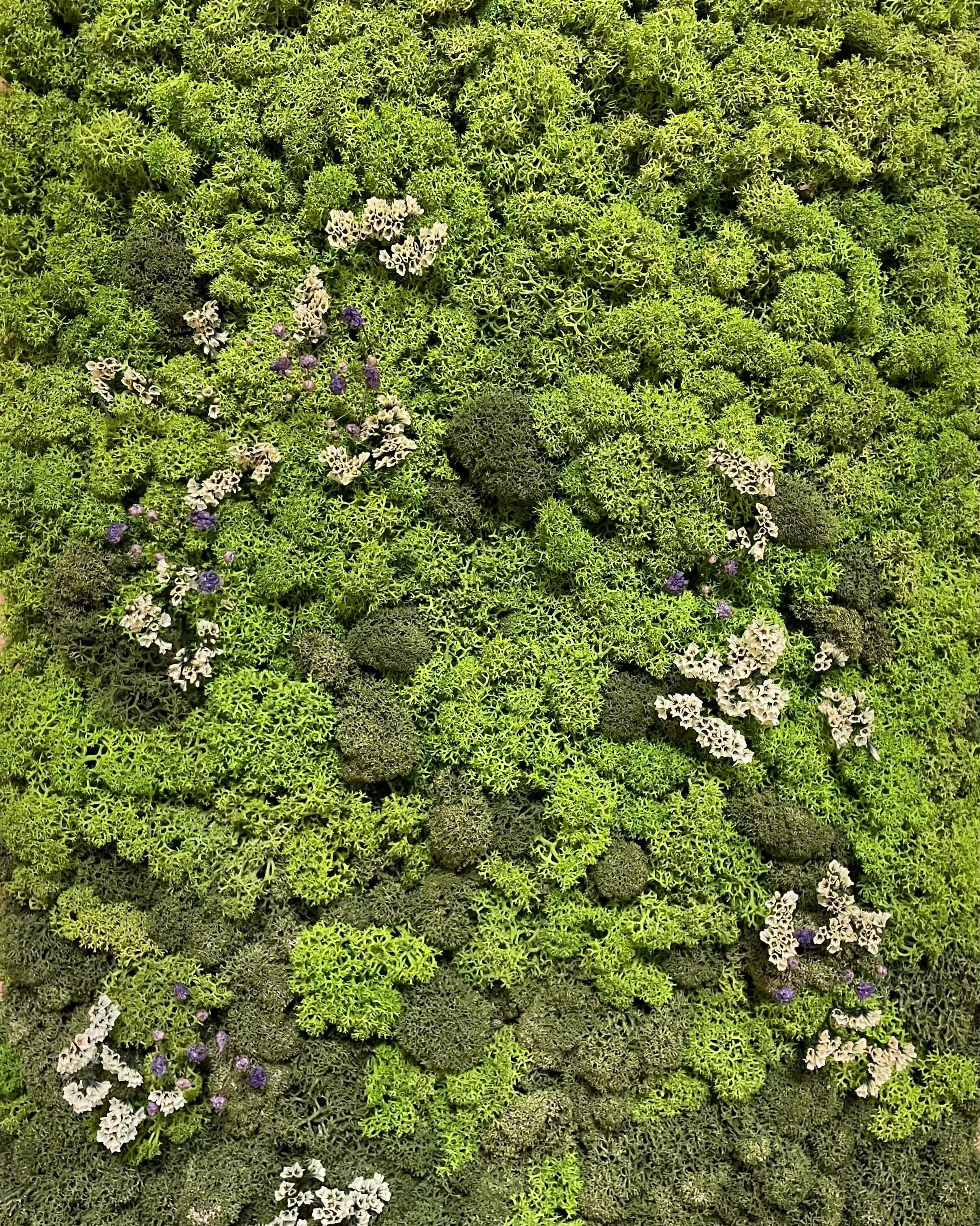 Tableau végétal - Vente particulière Lichen & CO Tableau végétal