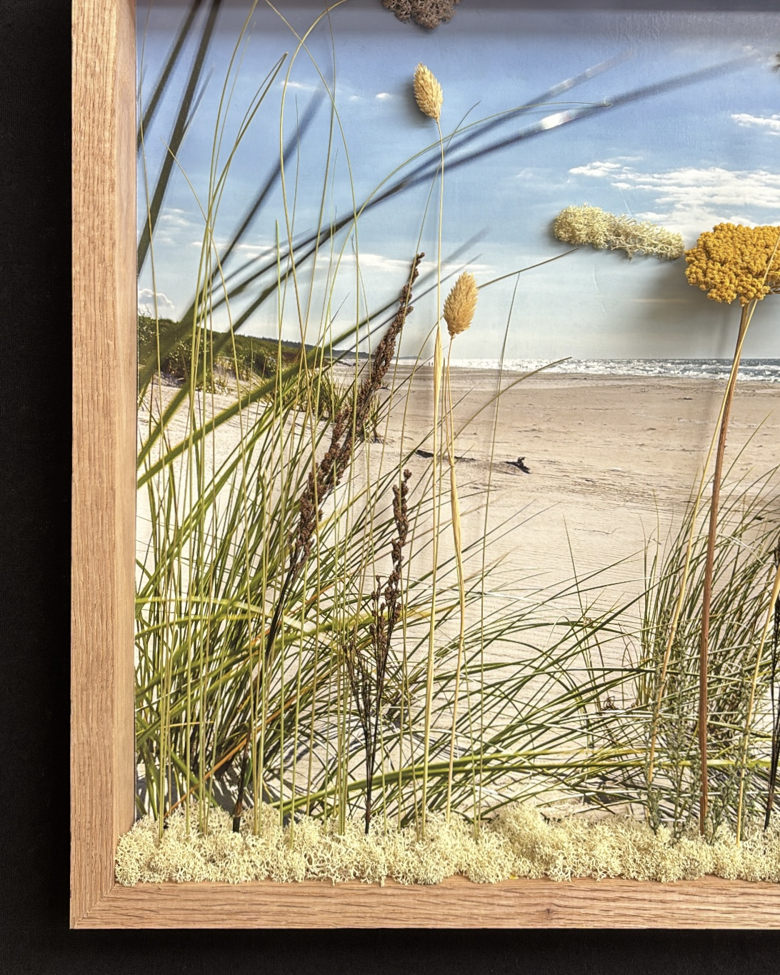 Tableau vegetal 3d