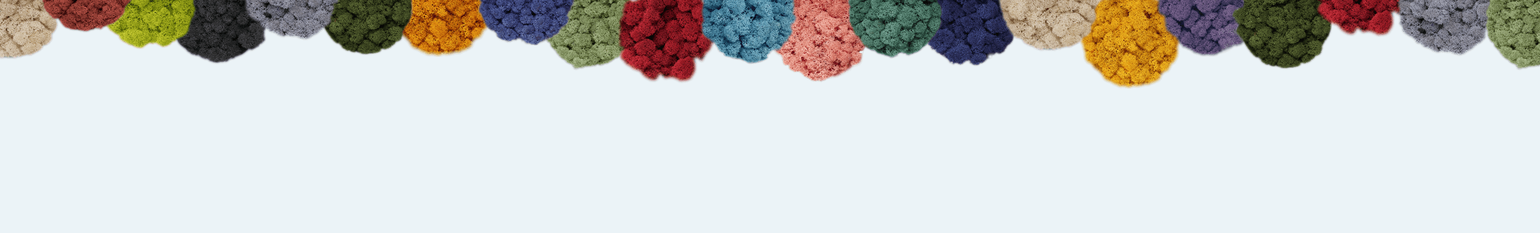Ligne en lichen stabilisé de nombreuses couleurs différentes.