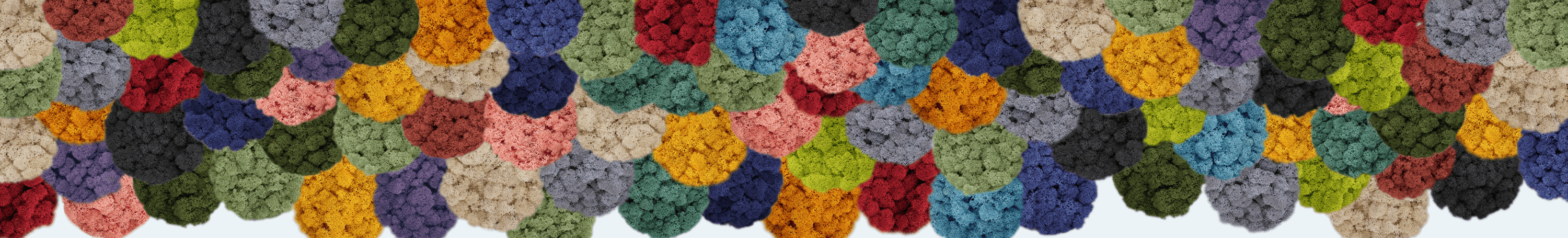 Ligne en lichen stabilisé de nombreuses couleurs différentes.