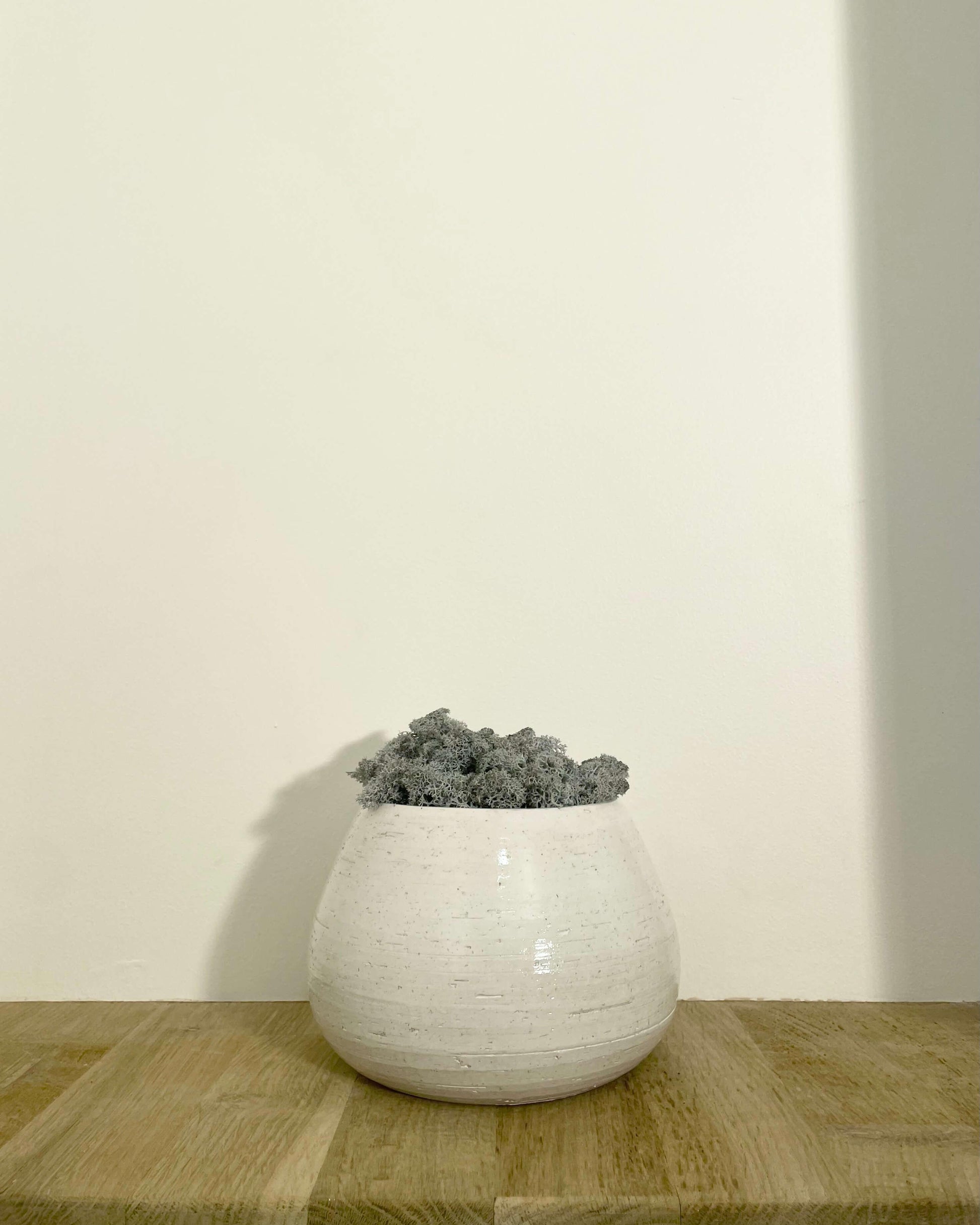 Composition lichen avec un support en poterie blanche posé sur une tablette en bois massif. Le lichen stabilisé est bleu glacial
