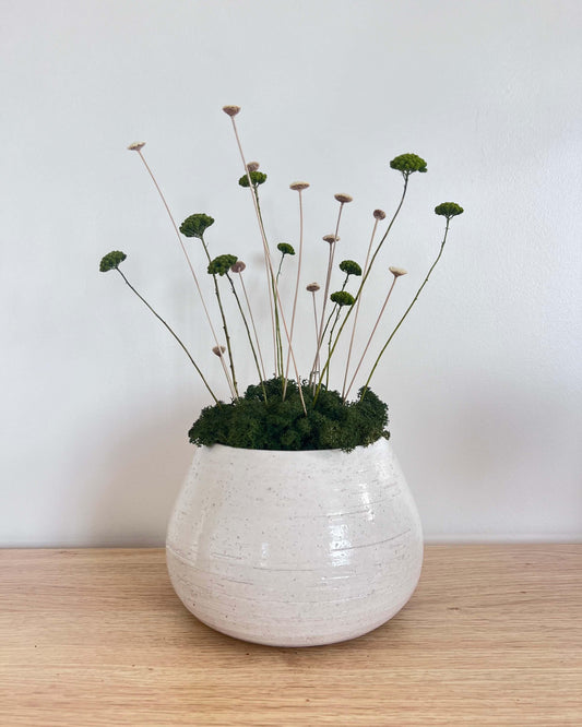 Composition florale moderne dans une poterie blanche posé sur une table en bois. Composition avec du lichen stabilisés vert forêt et des plantes vertes et blanches.