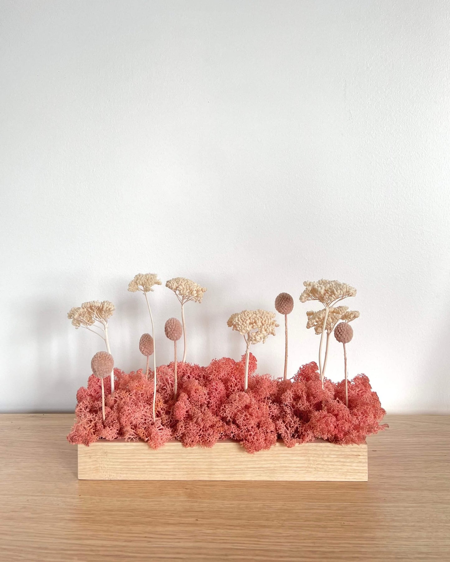 Composition florale avec un support en bois massif posé sur une tablette en bois. Le lichen stabilisé est rose et est composé de achillée blanche et craspédie rose.
