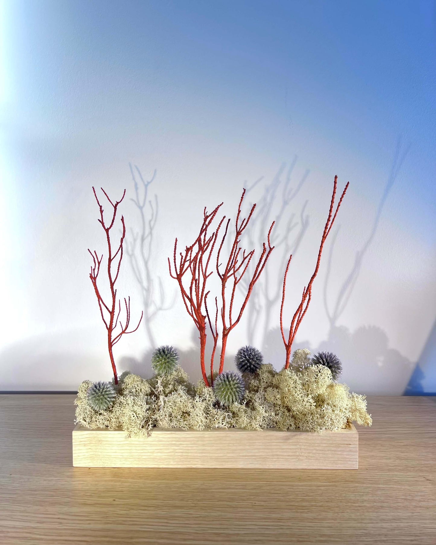 Composition florale avec un support en bois massif posé sur une tablette en bois. Le lichen stabilisé est naturel et est composé de chardon bleu et de romarin orange/rouge.