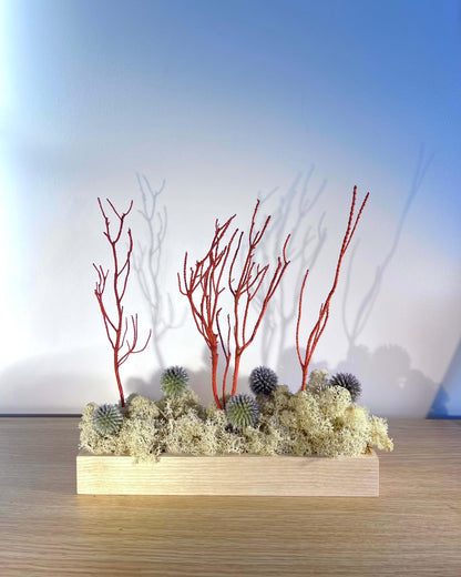 Composition florale avec un support en bois massif posé sur une tablette en bois. Le lichen stabilisé est naturel et est composé de chardon bleu et de romarin orange/rouge.