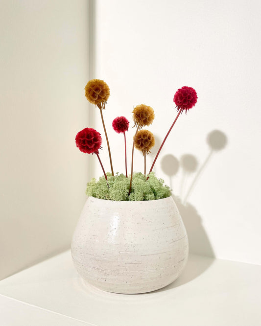 Composition florale moderne dans une poterie blanche posé sur une tablette blanche. Composition avec du lichen stabilisés vert claires et des fleurs modernes jaune te rouge.