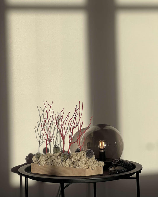 Composition florale avec un support en bois massif posé sur une table de nuit noir avec un lumière en verre. Le lichen stabilisé est naturel et est composé de chardon bleu et de romarin orange/rouge.