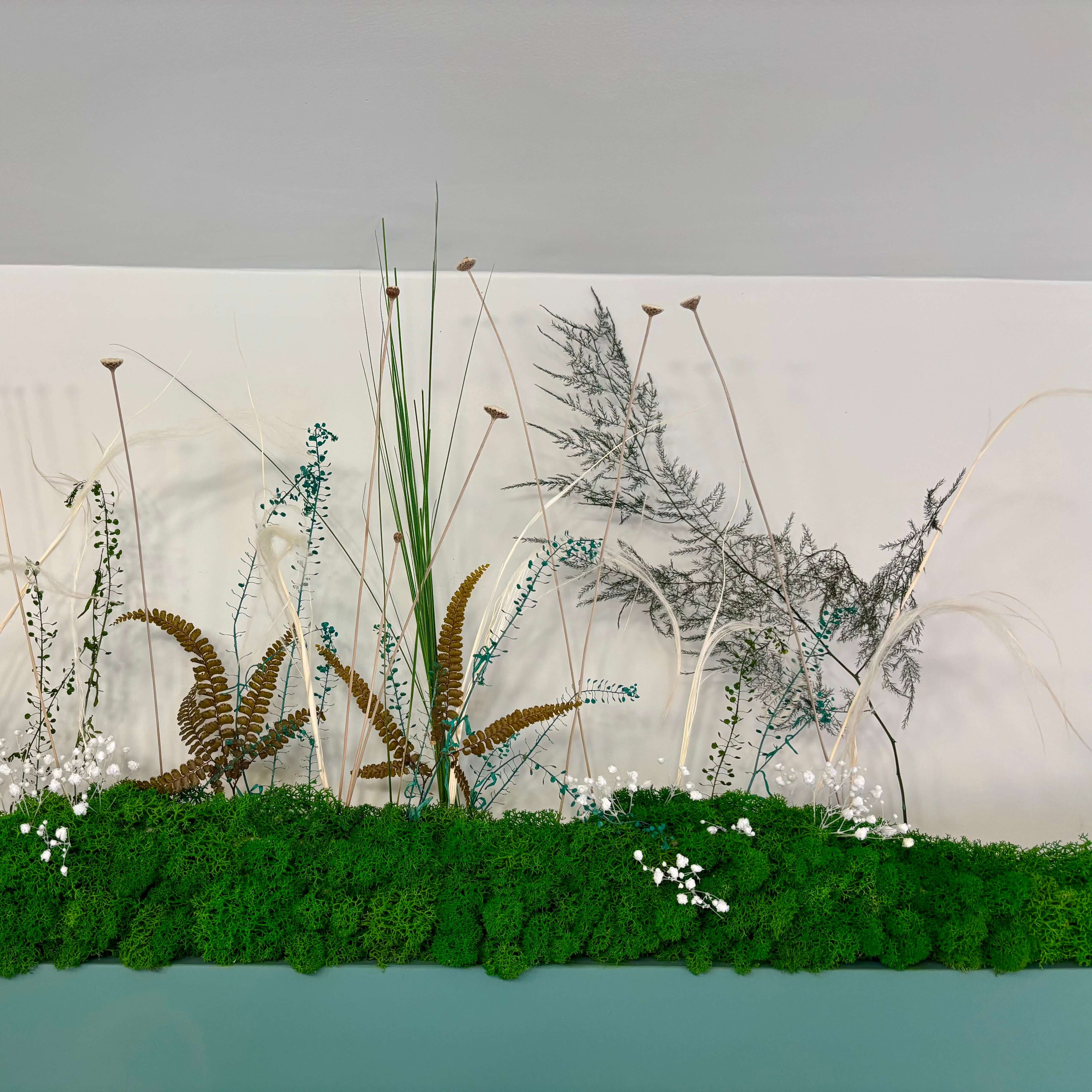 projet ligne vegetale restaurant bitronomique maioann carquefou nantes