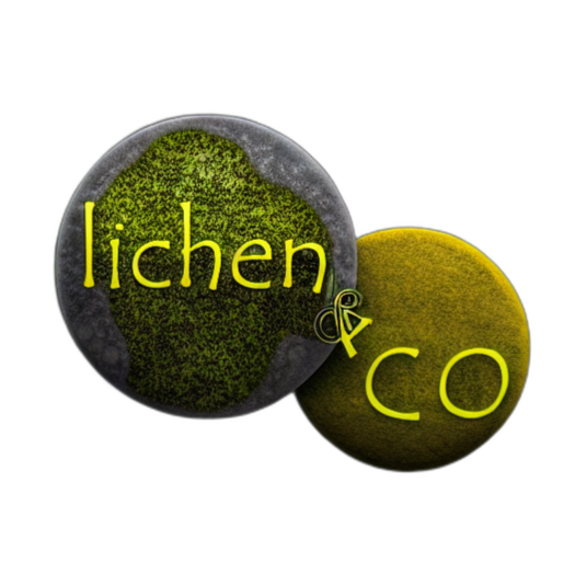 Logo lichen and co sur les tons vert