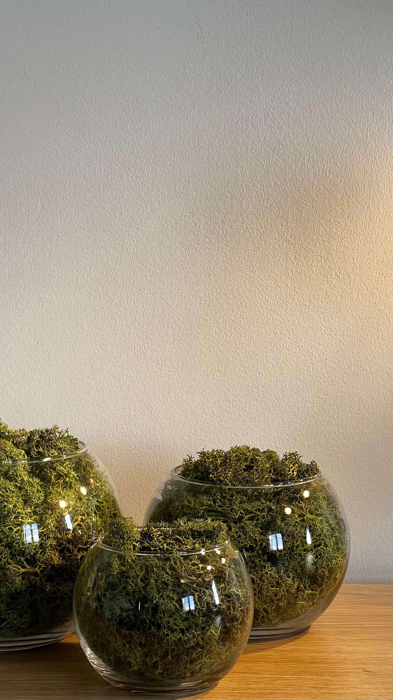 zoom sur des bulles en verre BLANKA avec du lichen stabilisé vert pomme posé sur une table en bois.